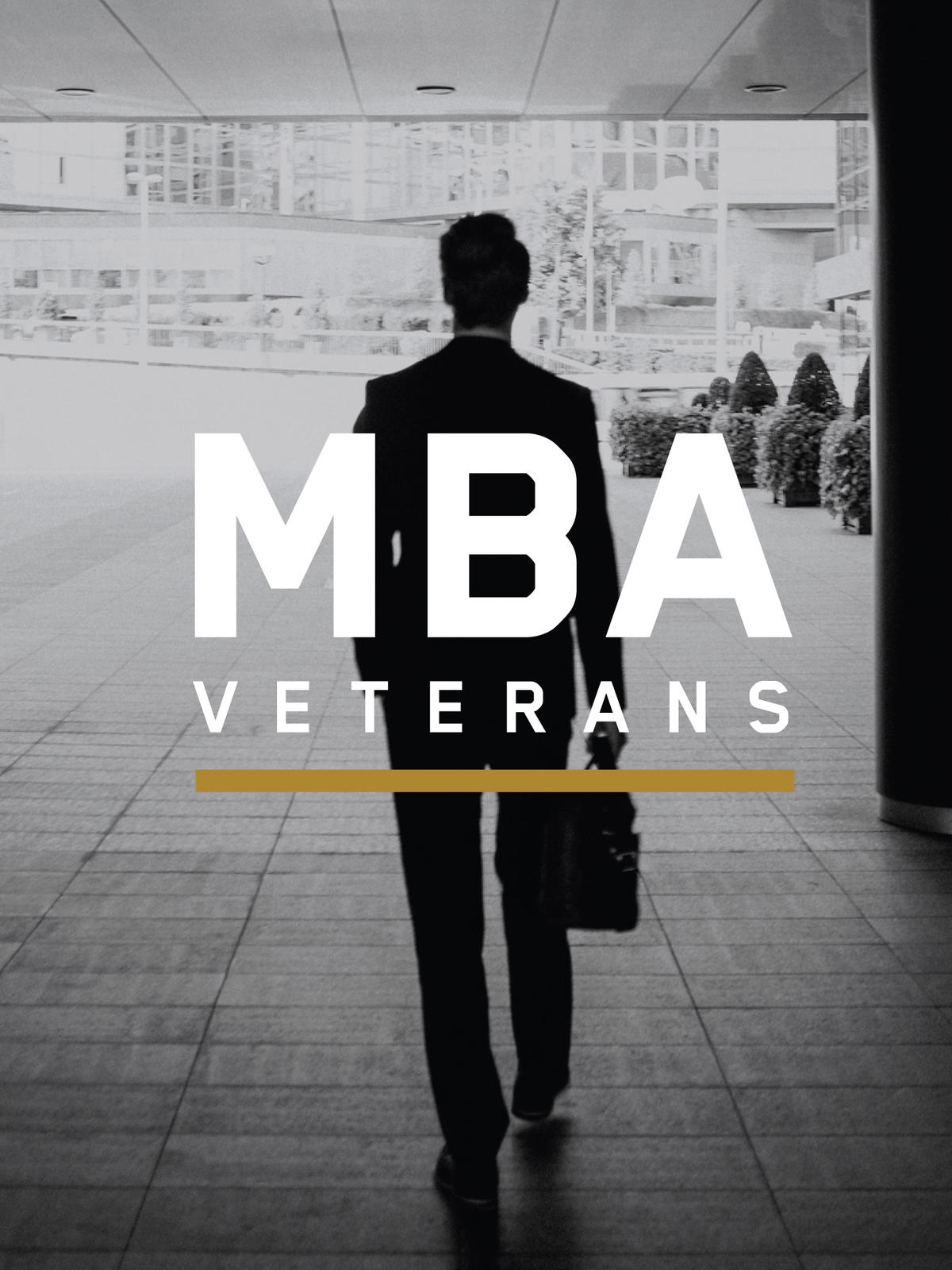 MBA Veterans Brand Identity & Strategy Hyperquake